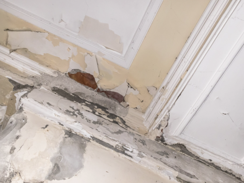 Capture d’écran 2023-05-16 à 17.47.33