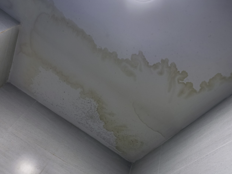 Capture d’écran 2023-05-16 à 17.47.41