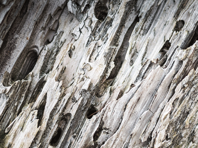 Capture d’écran 2023-05-16 à 18.04.18
