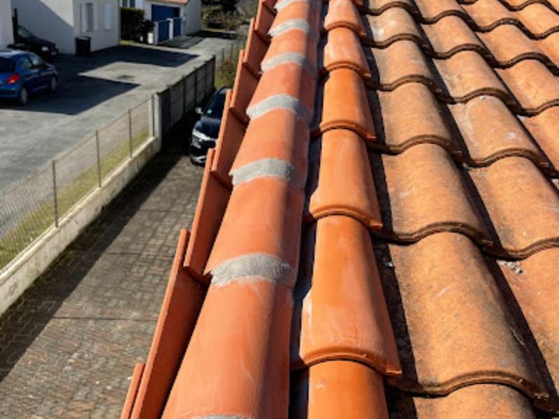 WhatsApp Image 2023-08-29 at 14.52.02 (8)