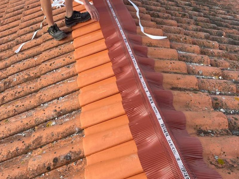 WhatsApp Image 2023-08-29 at 15.06.08 (1)