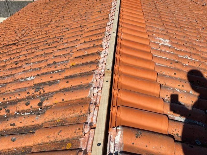 WhatsApp Image 2023-08-29 at 15.06.08