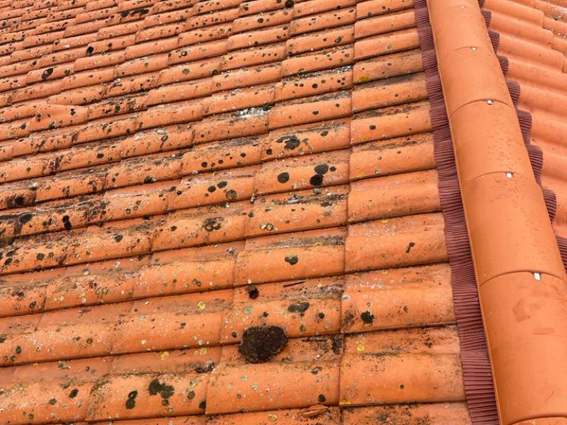 WhatsApp Image 2023-08-29 at 15.06.09 (3)