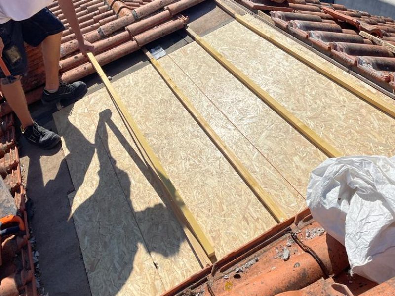 WhatsApp Image 2023-08-29 at 15.06.41 (1)